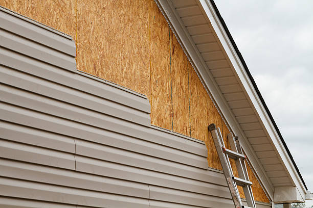 Professional Siding Repair technician working in Halethorpe, MD